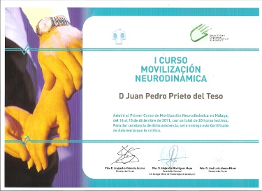 formación neurodinámica clínica