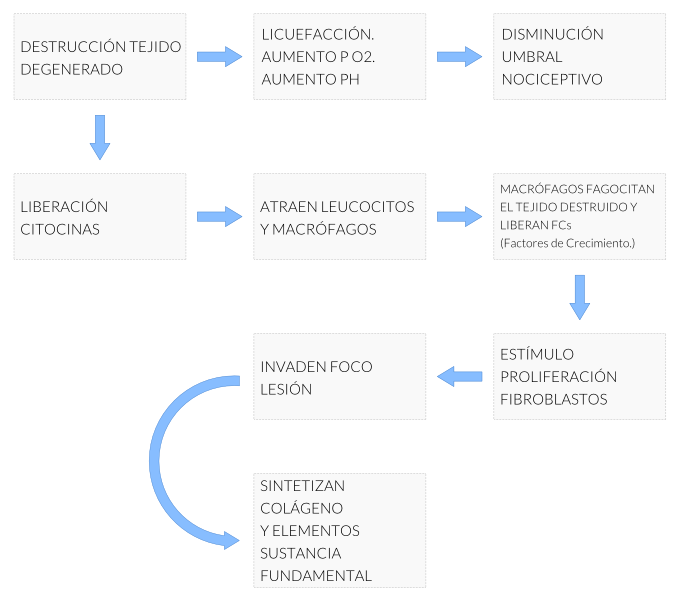 gráfico EPI