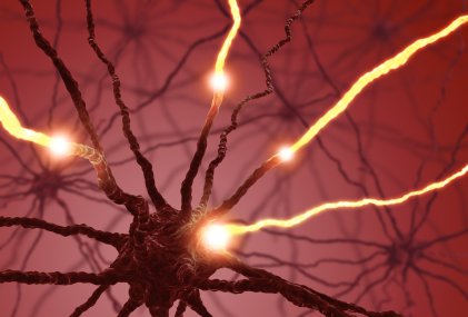 neurodinámica clínica